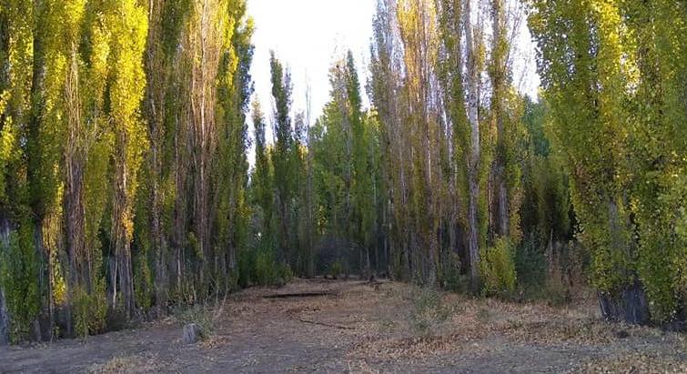 I sell land in Barda del Medio
