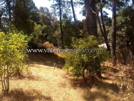 EXCELLENT LAND FOR SALE SUITABLE FOR HOUSING AND COMMERCIAL DEVELOPMENT