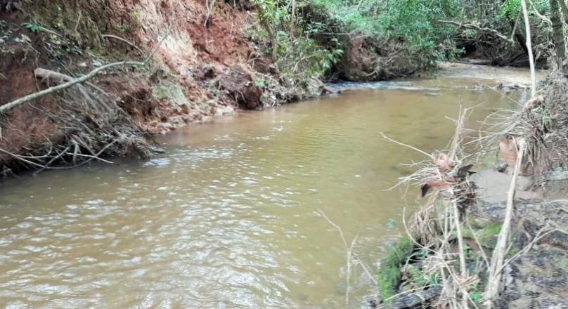 A must-see, sale of a farm in Pirenópolis