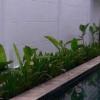 Pool villa for rent Soi Nong Hin /pattaya