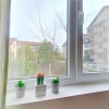 EXPLORE VIRTUALLY! Hospitable property, in the reborn district of Brasov