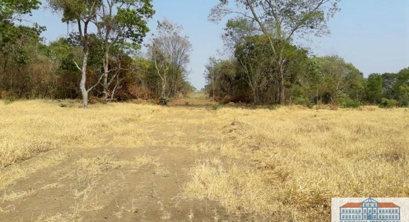 sale of four plots of land near Pirenópolis