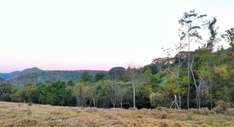 Sale of farm in Pirenópolis