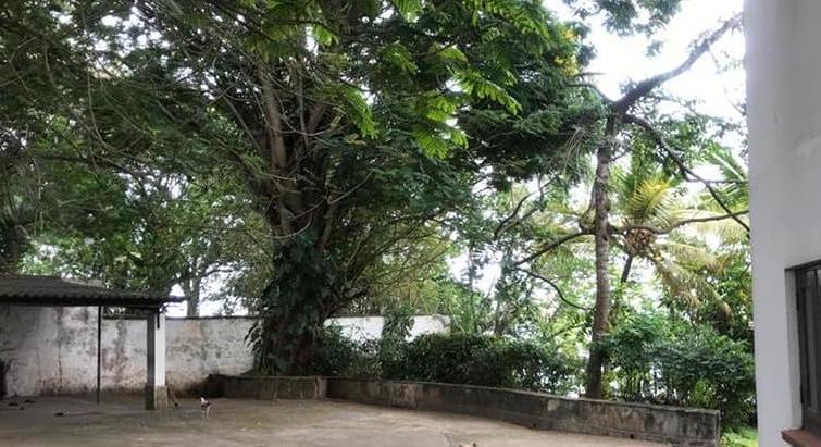 Hey... Looking to Invest