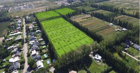 LOTEO AYRES DE PLOTTIER