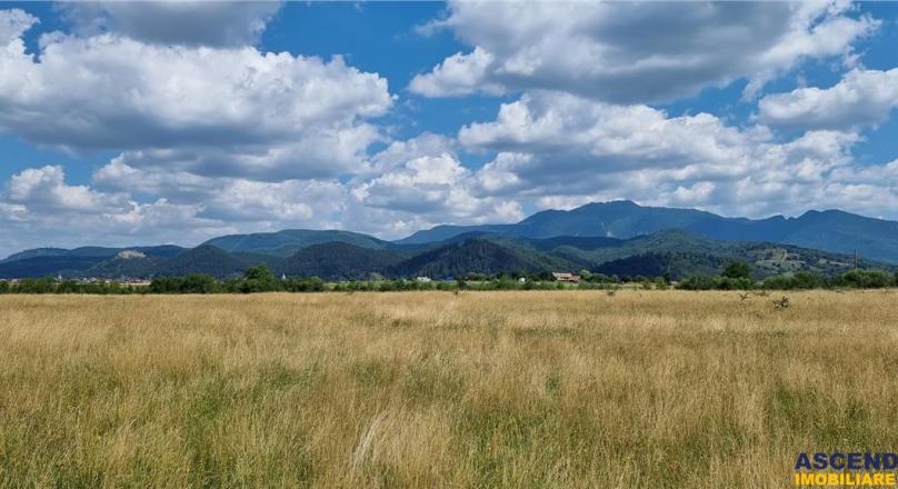 14,800 sqm, with PUZ for Holiday Homes, Rasnov Panicel