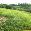 20,000 sqm in the story of nature, Bran, Brasov