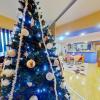 In the Cetinii Green Fir Arena, distinct residence