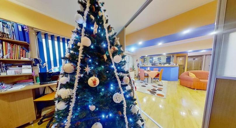In the Cetinii Green Fir Arena, distinct residence