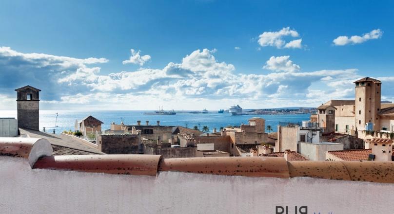 Palma. Old town. In the middle. Apartment with roof terrace and sea view.