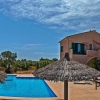 Bright villa with pool and private olive groves.