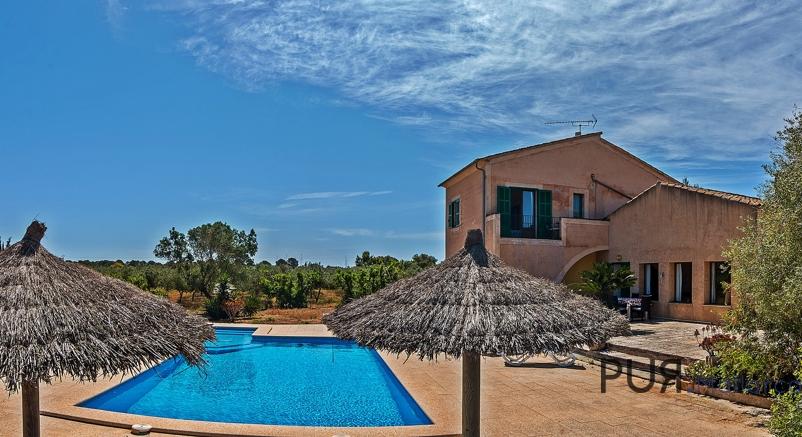 Bright villa with pool and private olive groves.