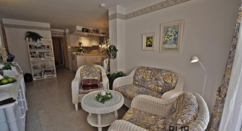 La Romana. The quiet district of Paguera. Near the beach. Bright. Small plant. Well maintained.