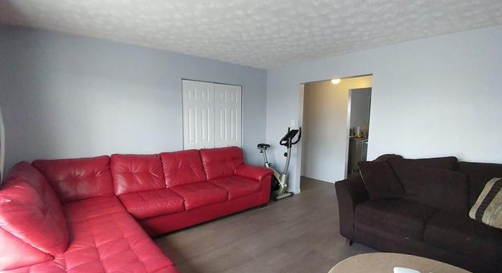 Large and quiet 4½ newly renovated free immediately