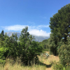 Parcela de 3.343 m2 en venta con acceso directo al mar en Las Rotas Dénia