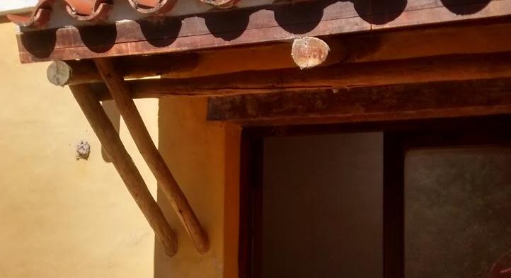 Se vende impresionante propiedad en Salta 