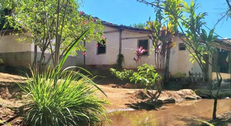 Sale of farm with an exuberant beauty