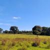 Sale of farm with an exuberant beauty