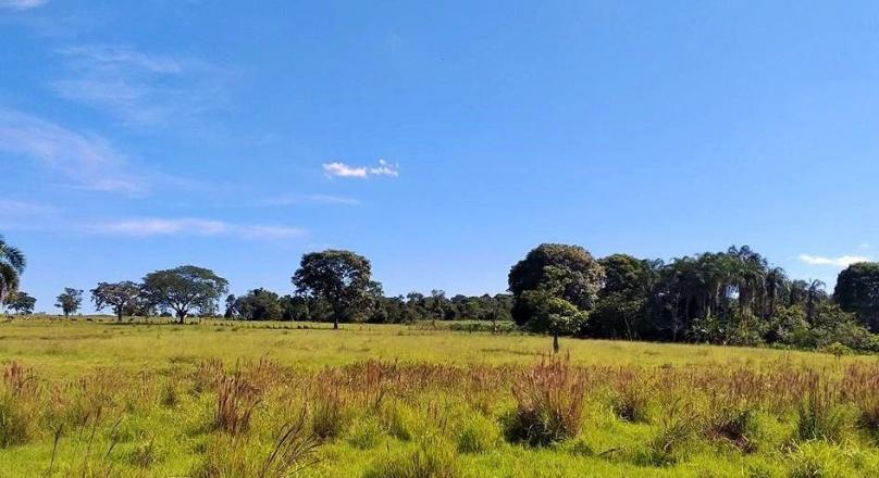 Sale of farm with an exuberant beauty