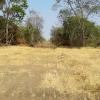 Unmissable, sale of four plots of land close to Pirenópolis
