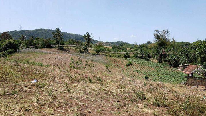 Lot for sale 15,964 area sqmtr