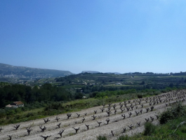 Finca rústica en venta en La Xurra con impresionantes vistas panorámicas en Moraira