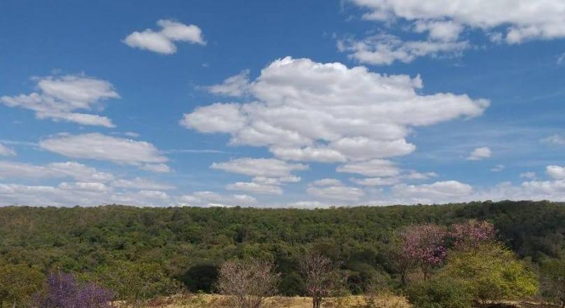 Sale of farm in Pirenópolis