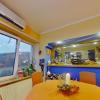 In the Cetinii Green Fir Arena, distinct residence