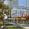 Developer - Aoyuan International