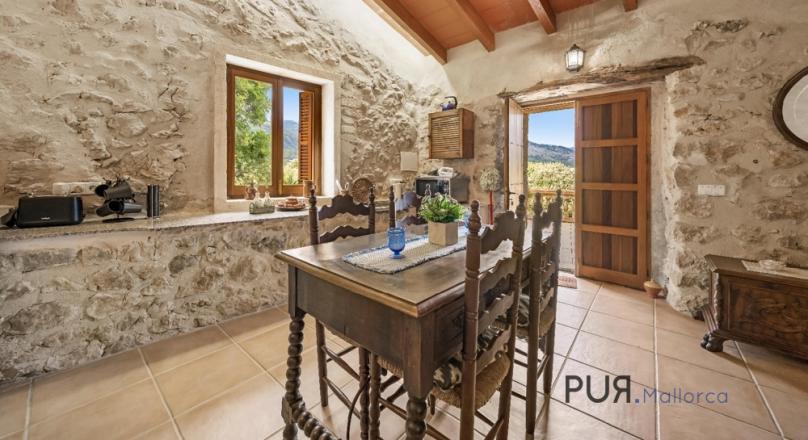 Finca with guest house and pool