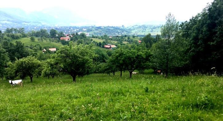 20,000 sqm in the story of nature, Bran, Brasov