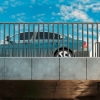 Cala Murada - sea view. New construction. 150 m to the beach. Modern standard. Small exclusive facility.