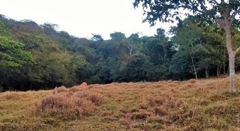 Sale of farm in Pirenópolis
