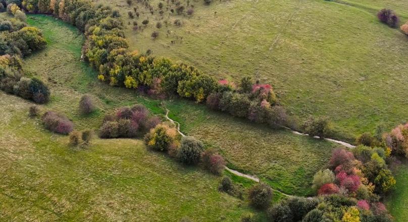 14,800 sqm, with PUZ for Holiday Homes, Rasnov Panicel