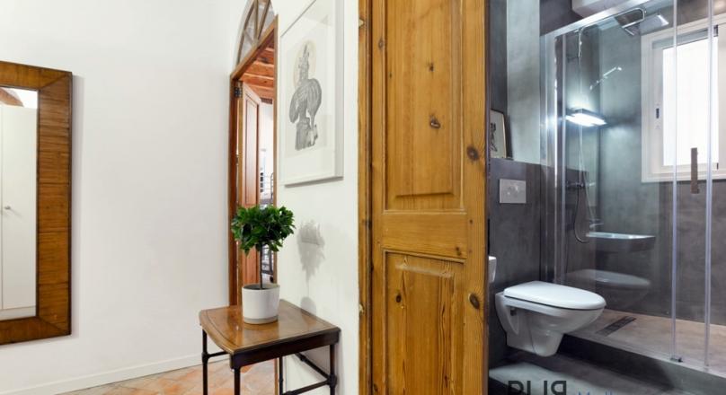 Palma. Old town. Apartment with a large roof terrace. And a look. PUR.