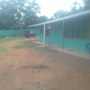 If anyone or business houses needed a spacious yard