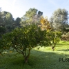 Pollenca. Finca. Nestled in an environment of sea and forests. Holiday rental license.