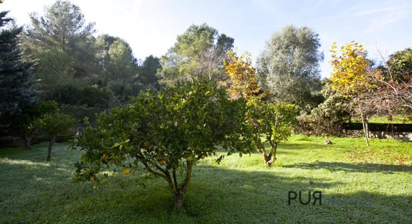 Pollenca. Finca. Nestled in an environment of sea and forests. Holiday rental license.