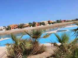 Future Real Estate For ( Rent ) in Elgouna