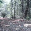 Unmissable, sale of four plots of land close to Pirenópolis