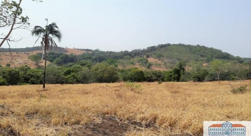 Unmissable, sale of four plots of land near Pirenópolis