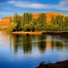 Las Plumas / Chubut - 60000 hectares