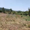 Lot for sale 15,964 area sqmtr