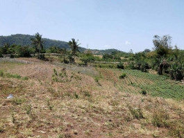 Lot for sale 15,964 area sqmtr