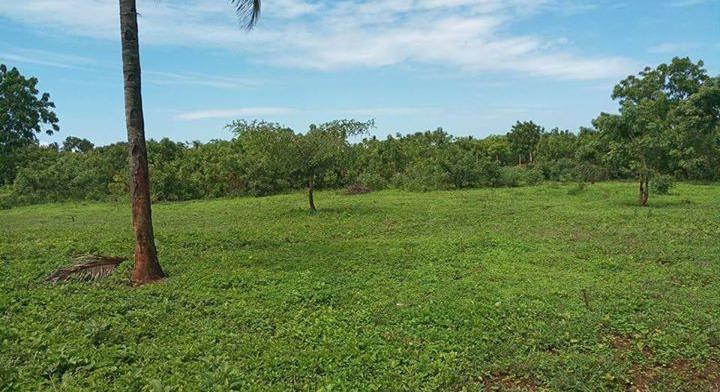 Land QUICK SALE