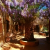 Finca. 20 minutes from Palm. The very special investment