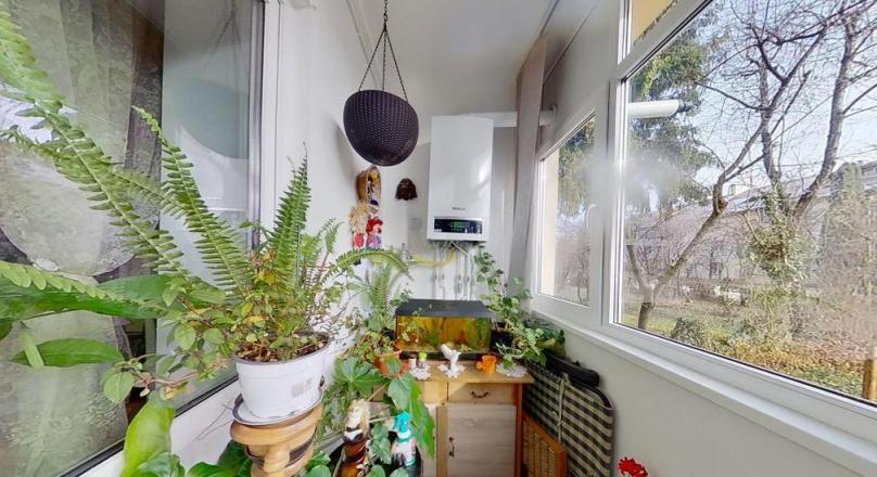 Villa property, surrounded by green space, Astra, Brasov