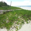 SAND BEACH PLOT FOR SALE