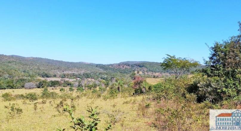 Sale of farm with exuberant beauty