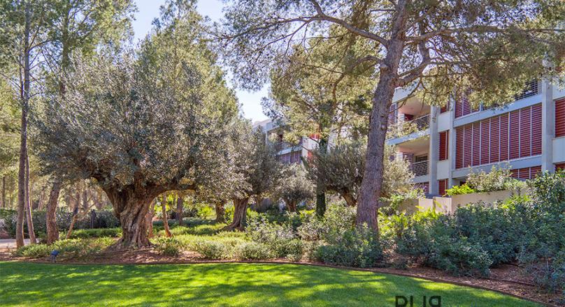 Apartment. Exclusive and quiet. In a few minutes in Portals and Palma.